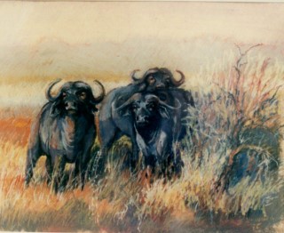 Paintings