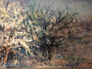 Paintings