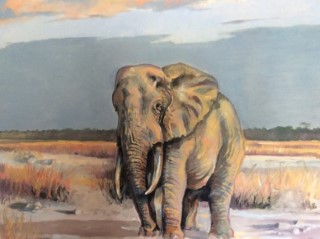 Paintings