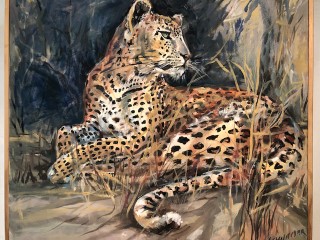 Paintings