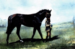 Paintings
