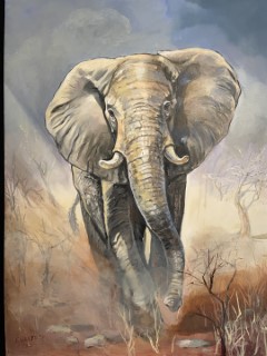Paintings