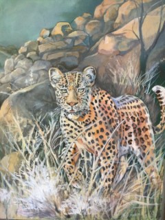 Paintings
